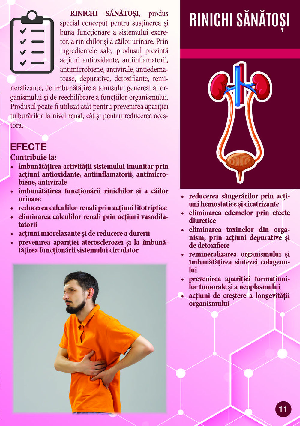 Supliment alimentar Rinichi sanatosi, 60 capsule 6 Supliment alimentar Rinichi sanatosi, 60 capsule
