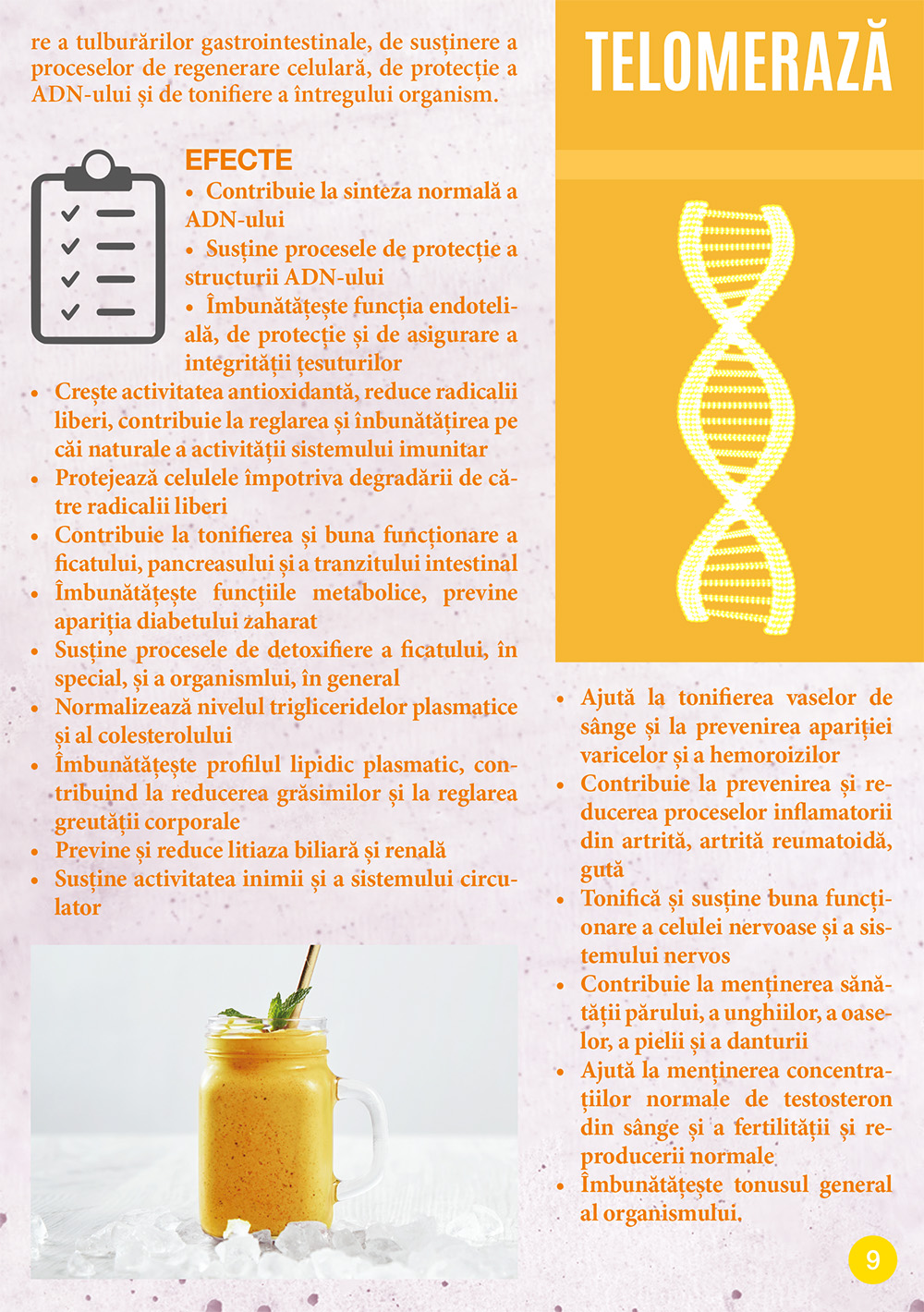 Sirop de papadie taraxacum, Telomer, 250 ml 6 Sirop de papadie taraxacum, Telomer, 250 ml