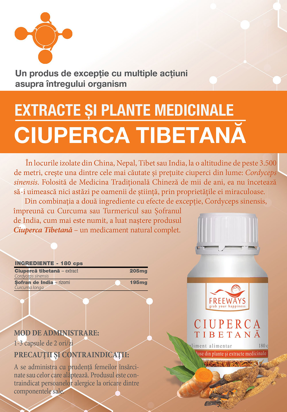 Supliment alimentar din extract de Ciuperca Tibetana, 180 capsule vegetale 5 Supliment alimentar din extract de Ciuperca Tibetana, 180 capsule vegetale