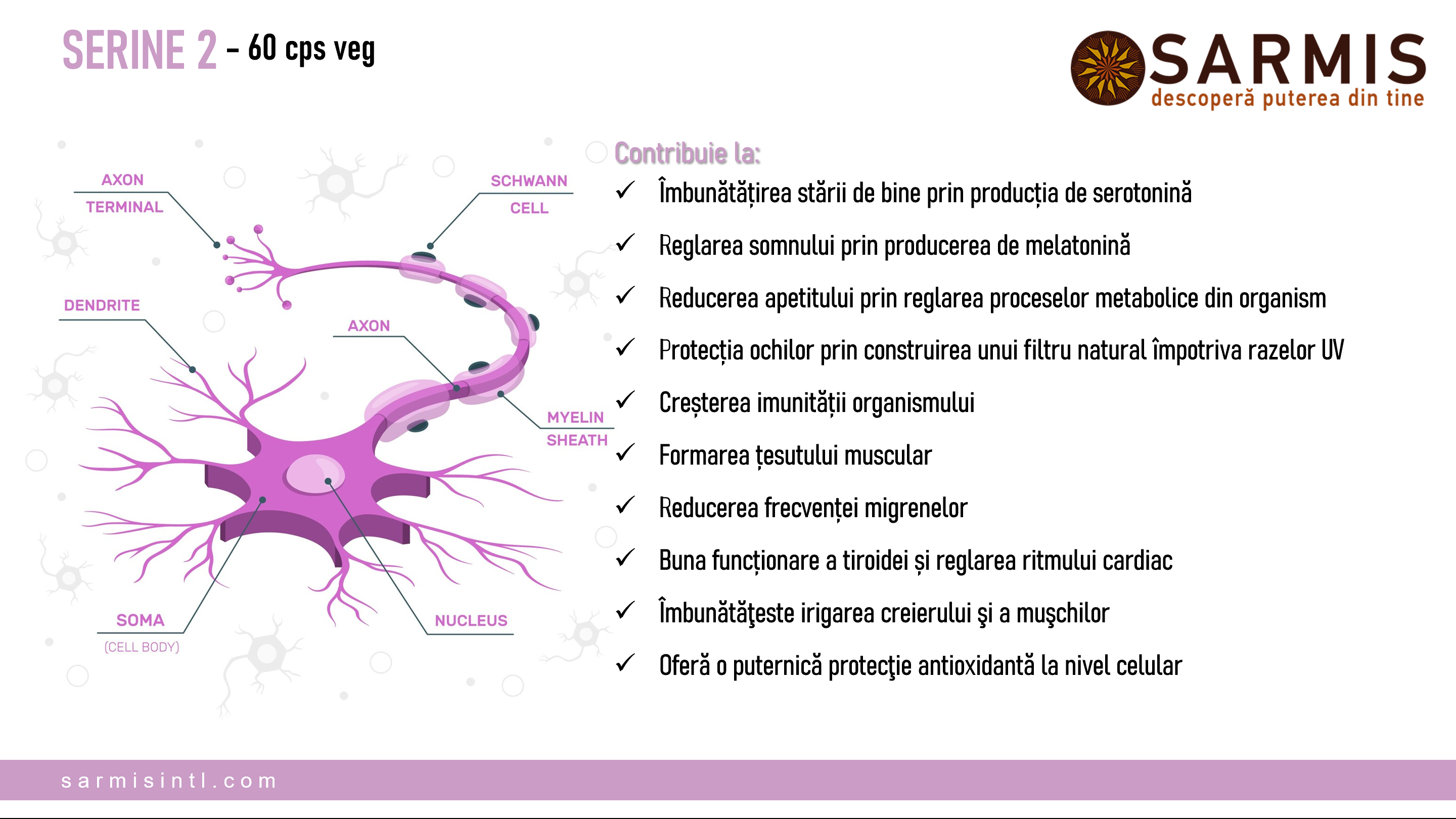 Supliment alimentar Serine+, pentru Susținerea sistemului imunitar, 2x60 capsule vegane 15 Supliment alimentar Serine+, pentru Susținerea sistemului imunitar, 2x60 capsule vegane